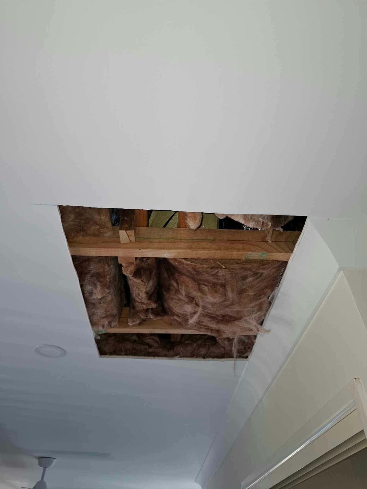 Ceiling repair boundary extending beyond a damaged section to sound material