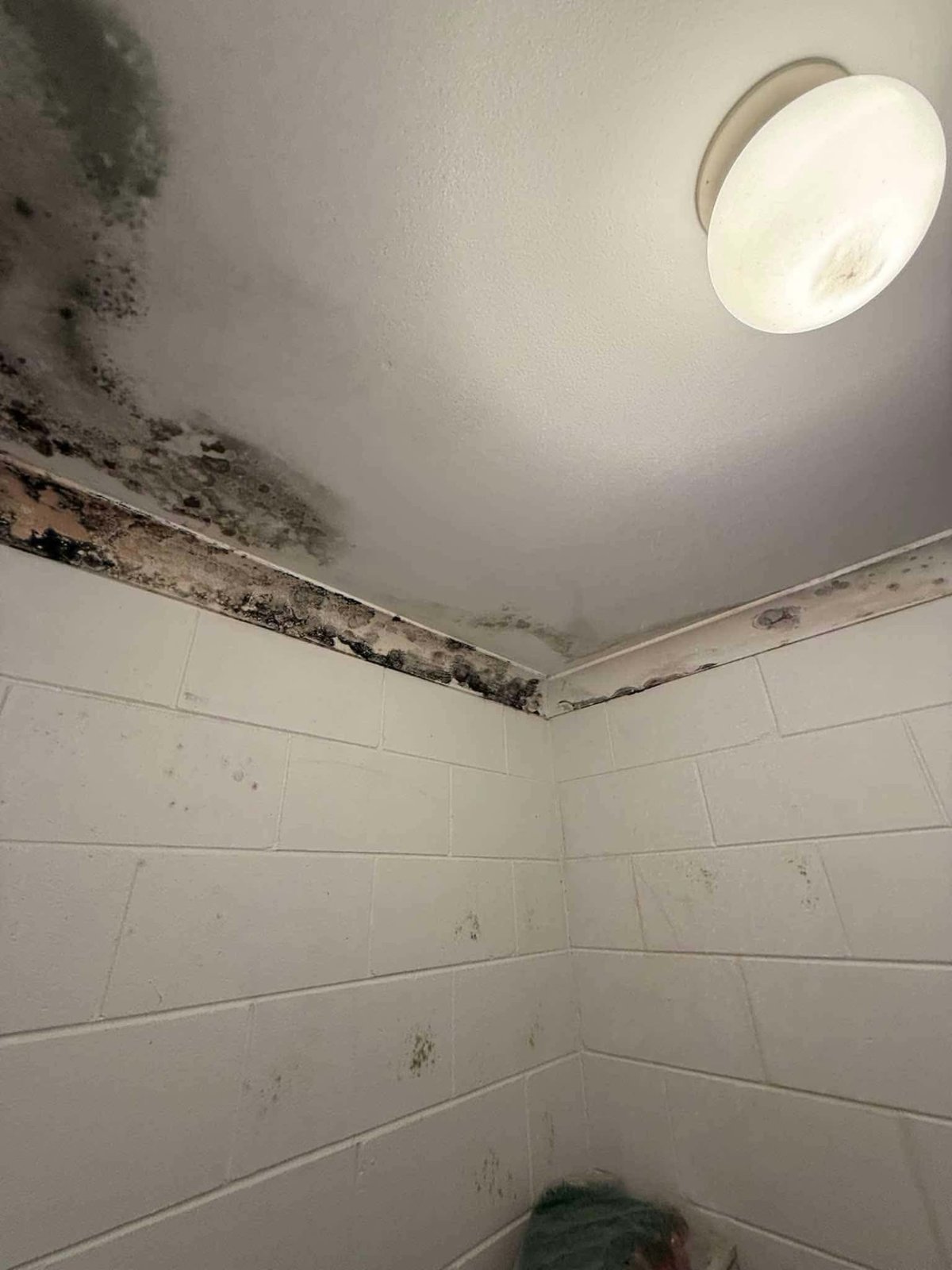 Several wall repair areas showing how feathered finishing zones can overlap
